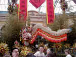 Chinese New Year at the Bellagio Consevatory